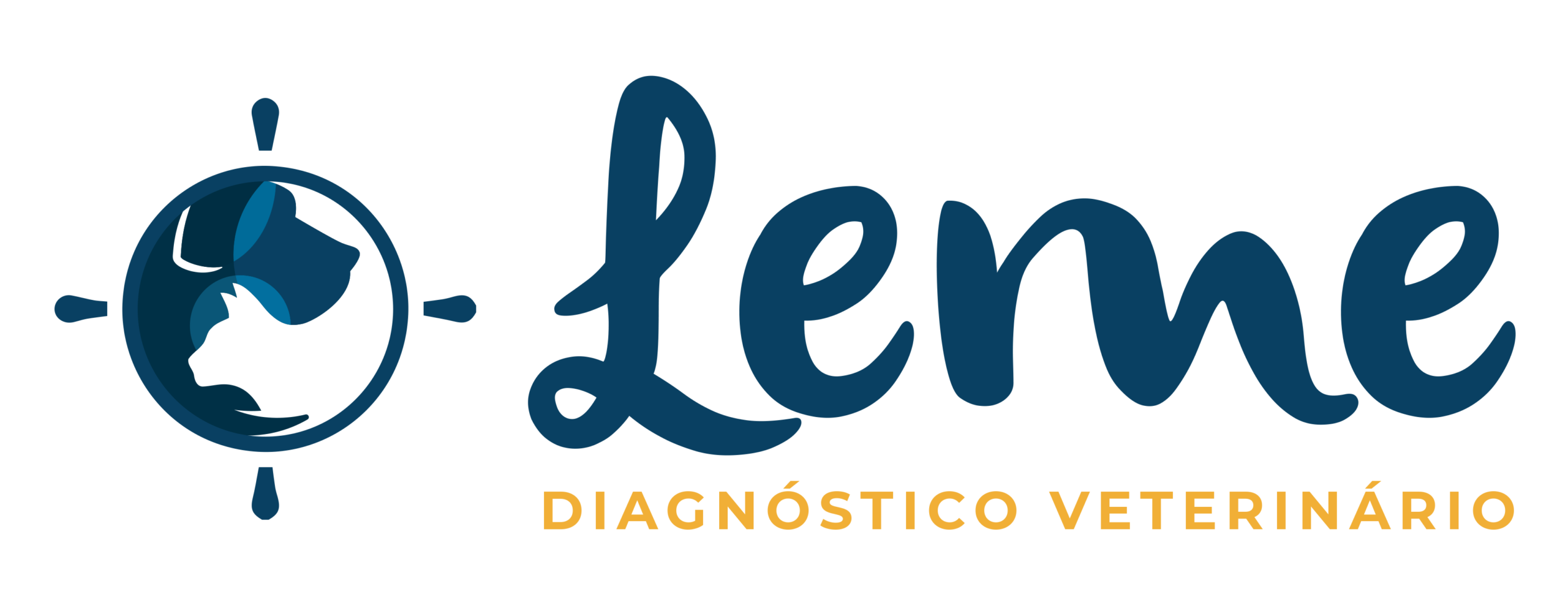 Leme Diagnóstico